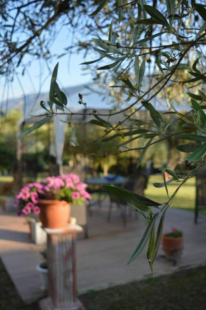 דירות פלטאריה Sunny Garden מראה חיצוני תמונה